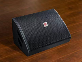  十五寸同轴返听